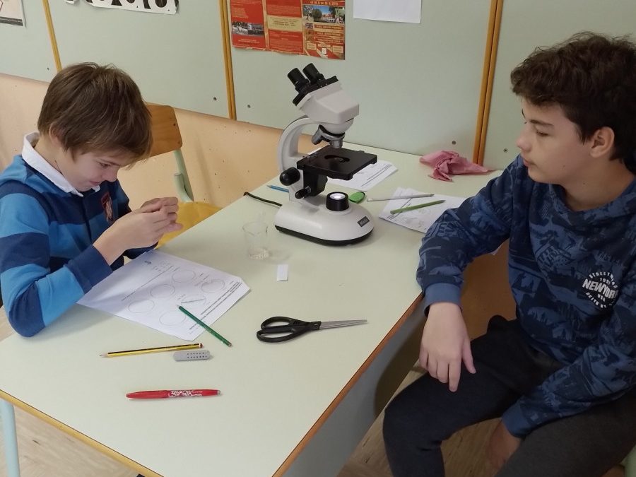 Naravoslovni dan – mikroskopiranje 7. razred