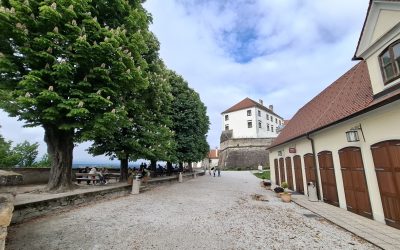 Kulturni dan